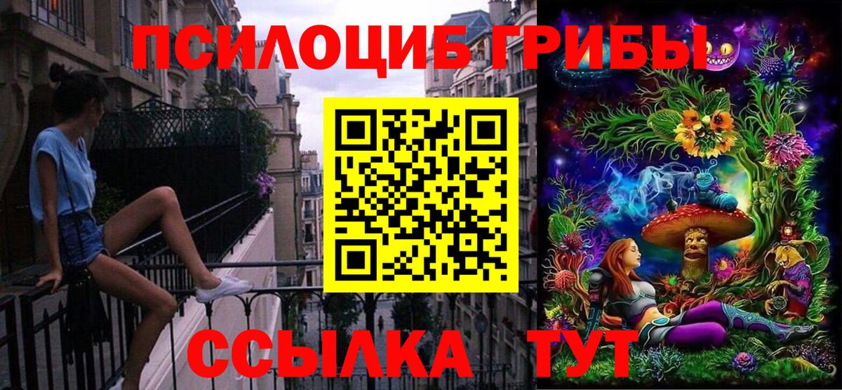 Псилоцибиновые грибы Cubensis Коркино
