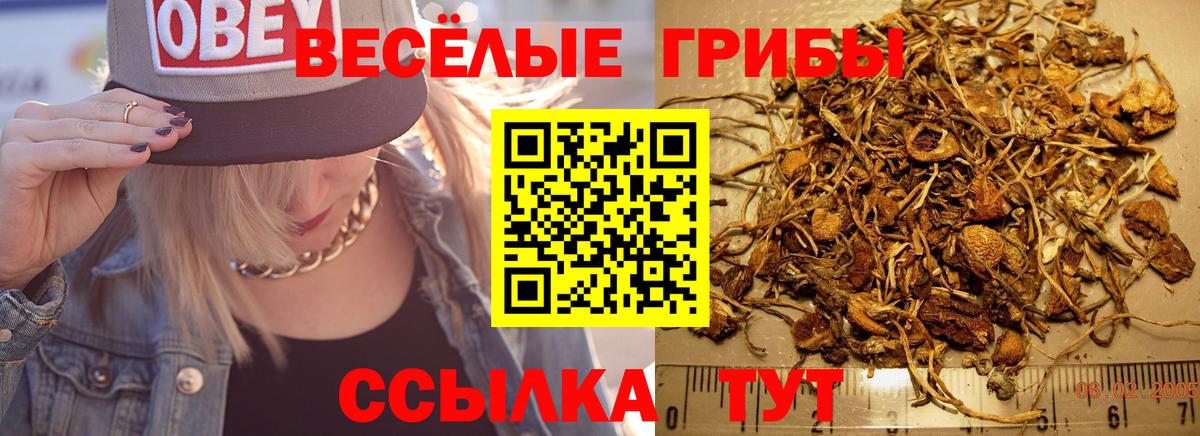 Коркино  Псилоцибиновые грибы Psilocybe  Вход с VPN 